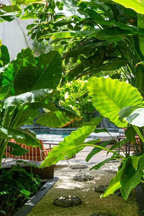 Maka Hotel Boutique Tulum